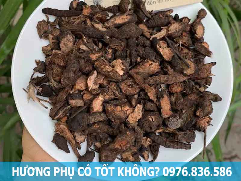 dùng hương phụ hỗ trợ điều trị đau sườn ngực