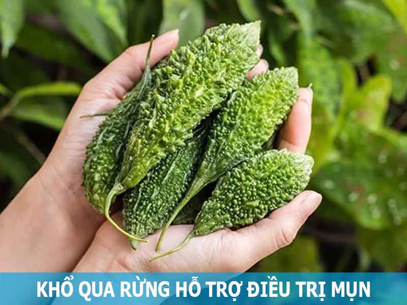 khô qua rừng hỗ trợ điều trị mụn