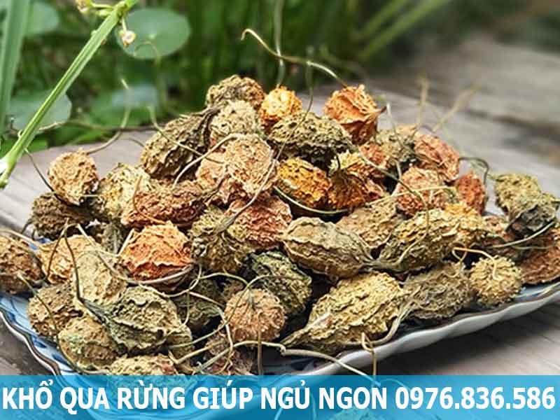 khổ qua rừng giúp ngủ sâu và ngon hơn