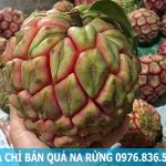 Địa chỉ bán quả na rừng tại Hà Nội
