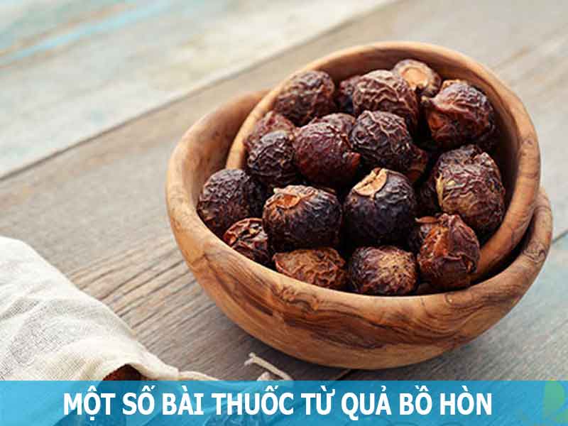 bài thuốc từ quả bồ hòn