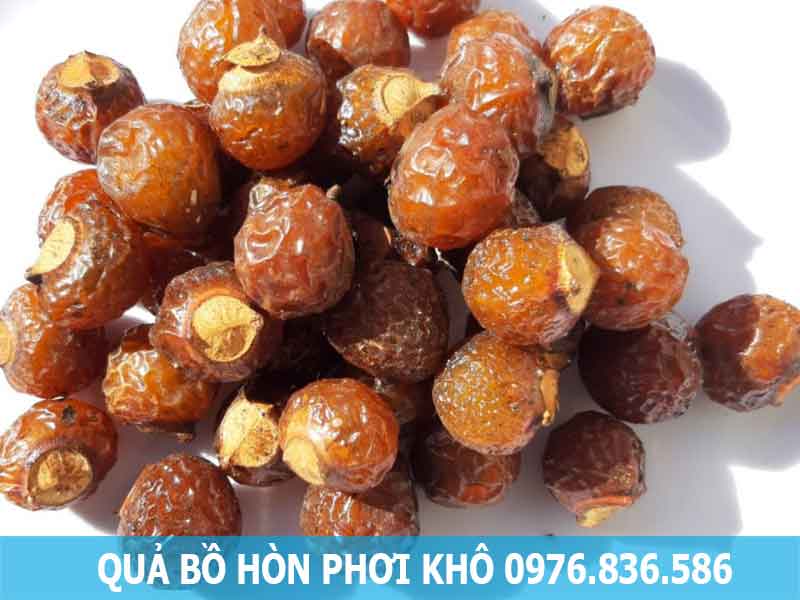 quả bồ hòn phơi khô