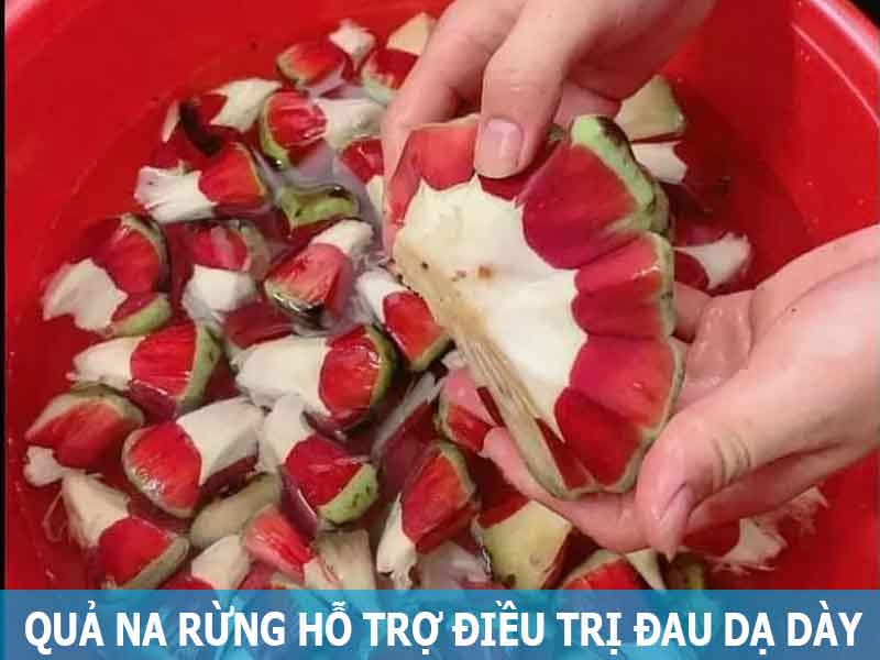 quả a rừng hỗ trợ điều trị đau dạ dày