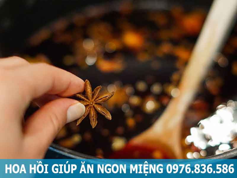 hoa hồi giúp ăn ngon miệng