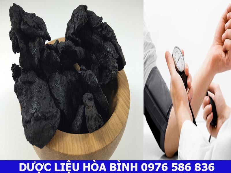 thục địa hỗ trợ trị chứng cao huyết áp