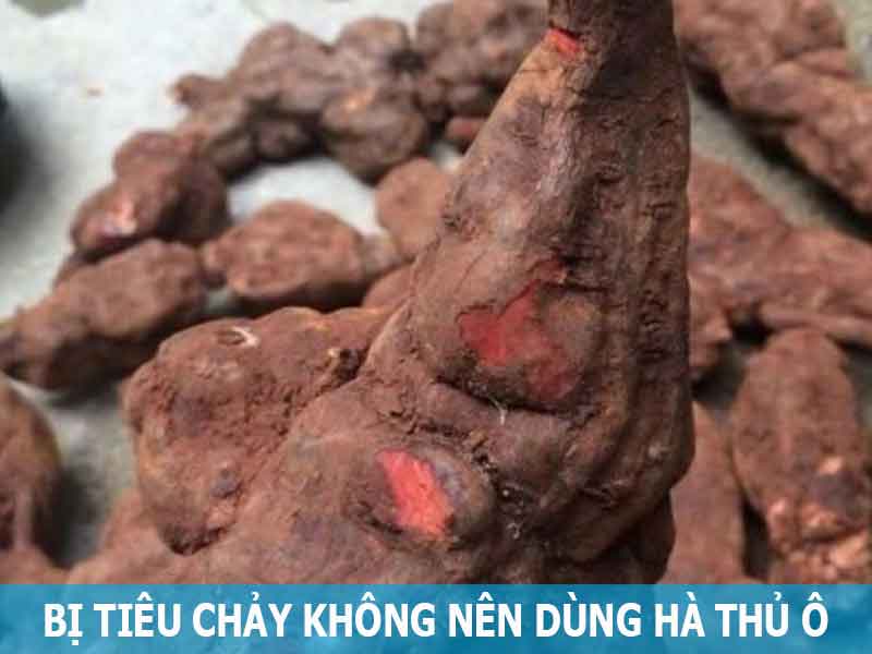 tiêu chảy không nên dùng hà thủ ô