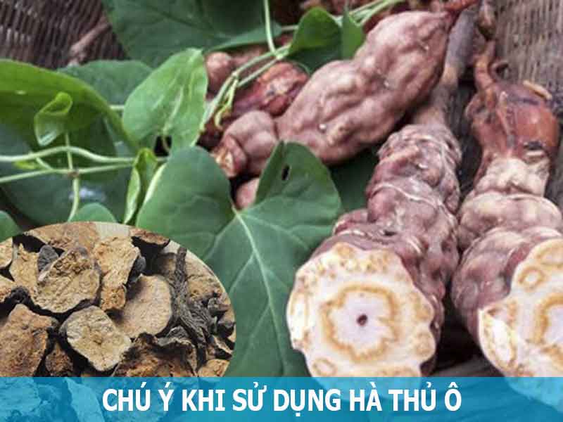 chú ý khi dùng hà thủ ô