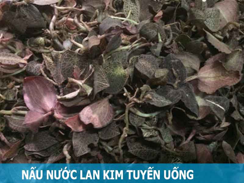 nấu nước lan kim tuyến