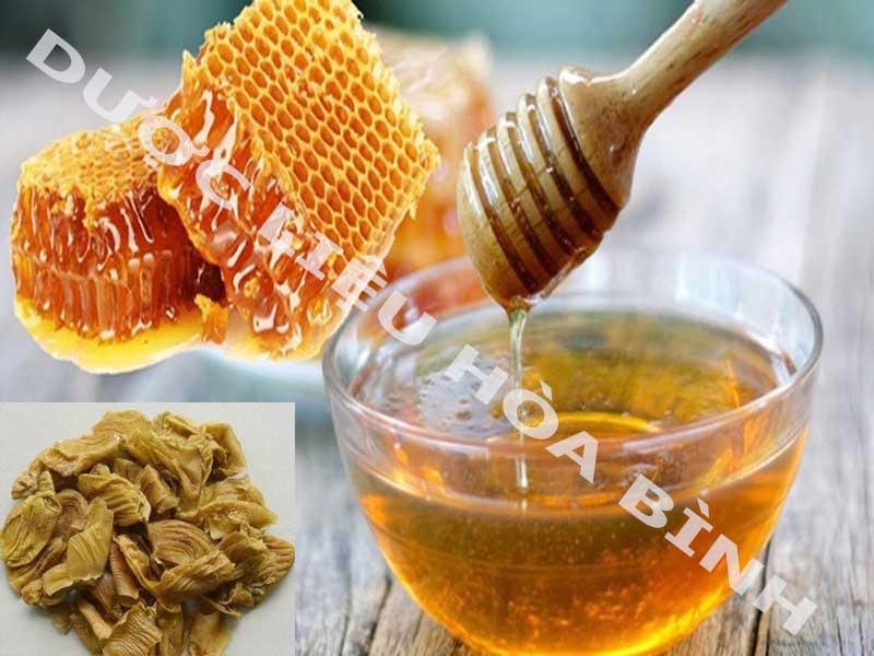 Kê nội kim ngâm mật ong có tác dụng gì?