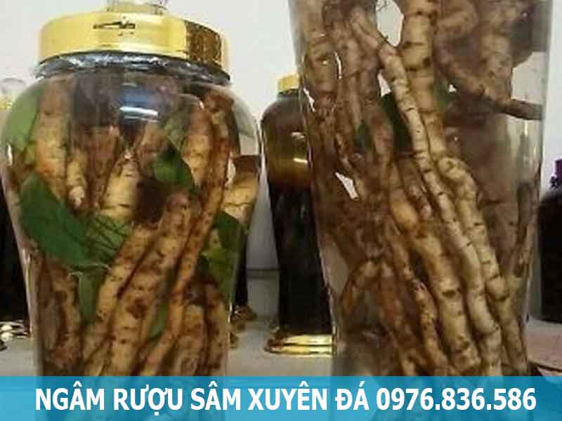 ngâm rượu sâm xuyên đá