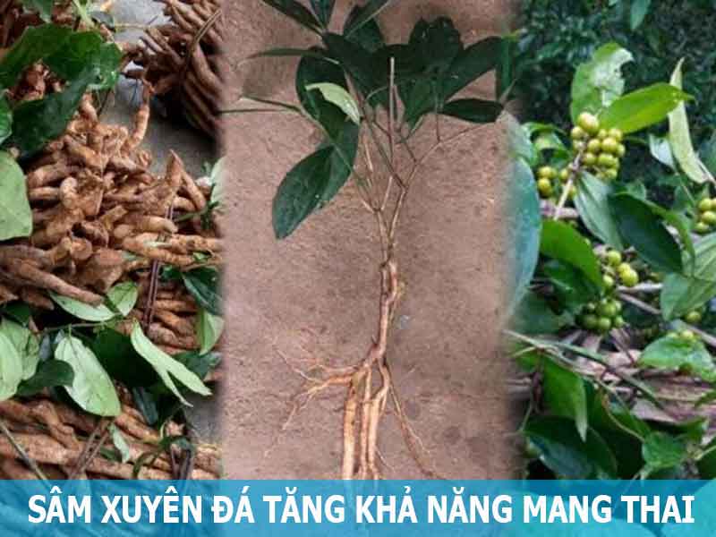 xâm xuyên đá giúp tăng khả năng mang thai