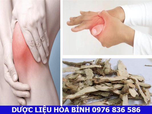 Thạch xương bồ hỗ trợ điều trị phong thấp