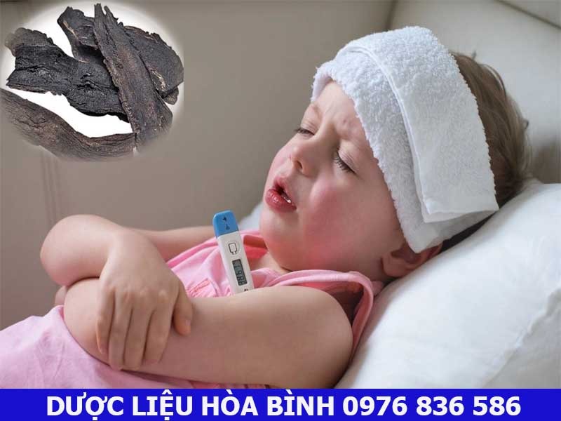 Dùng huyền sâm giúp hạ sốt như thế nào?