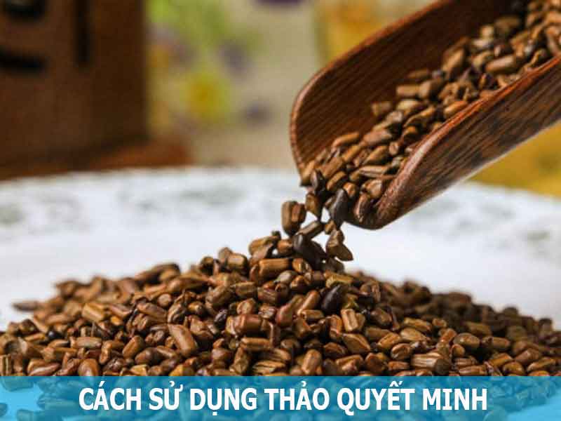 cách sử dụng thảo quyết minh