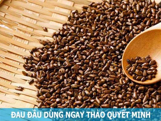 thảo quyết minh hỗ trợ điều trị đau đầu