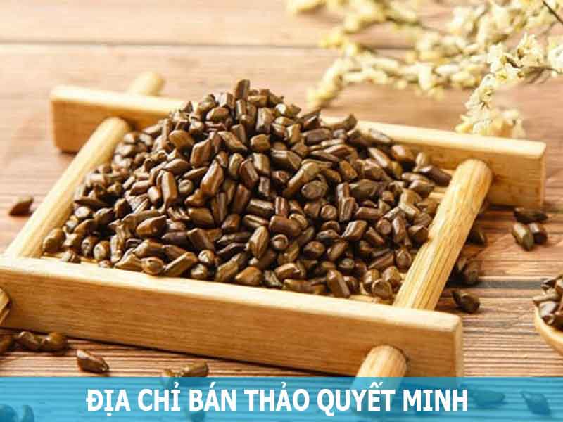 địa chỉ bán thảo quyết minh