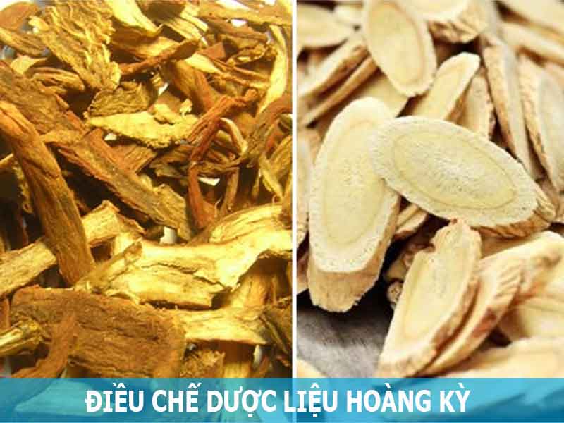 điều chế dược liệu hoàng kỳ