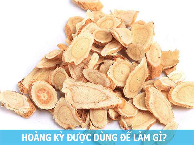 hoàng kỳ hỗ trợ điều trị bệnh tiểu đường