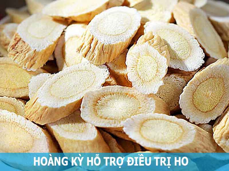 hoàng kỳ hỗ trợ điều trị ho