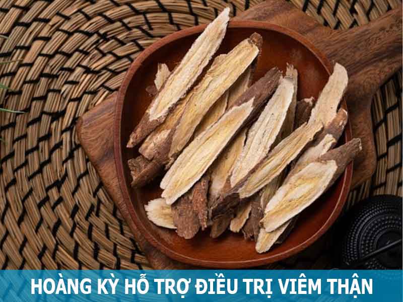 hoàng kỳ hỗ trợ điều trị viêm thận