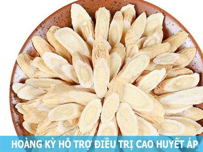 hoàng kỳ hỗ trợ điều trị cao huyết áp