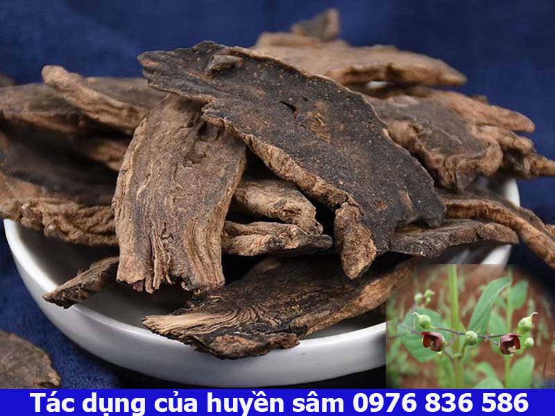 Dùng huyền sâm giúp hạ sốt như thế nào?