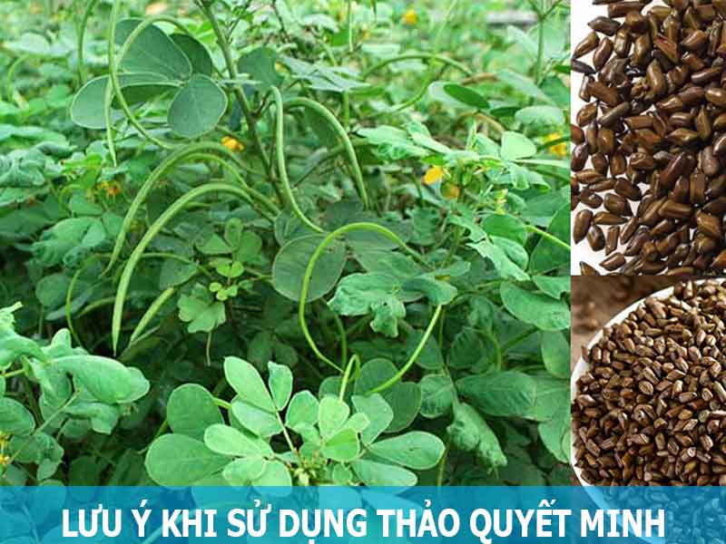 lưu ý khi sử dụng thảo quyết minh