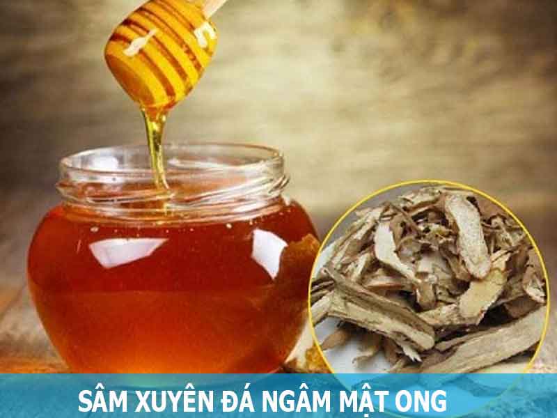 sâm xuyên đá ngâm mật ong