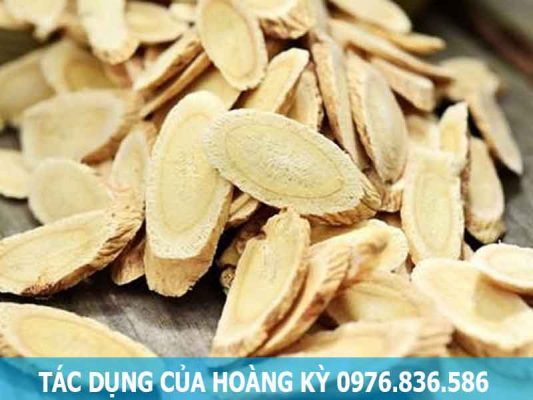 tác dụng của hoàng kỳ