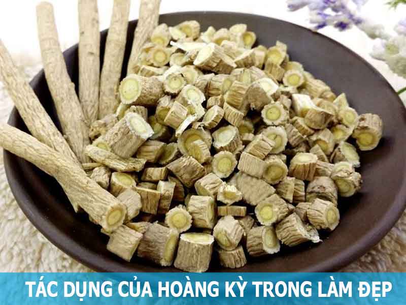 tác dụng của hoàng kỳ trong làm đẹp