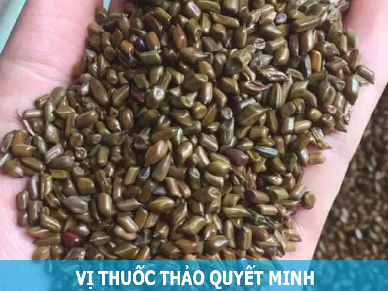 vị thuốc thảo quyết minh