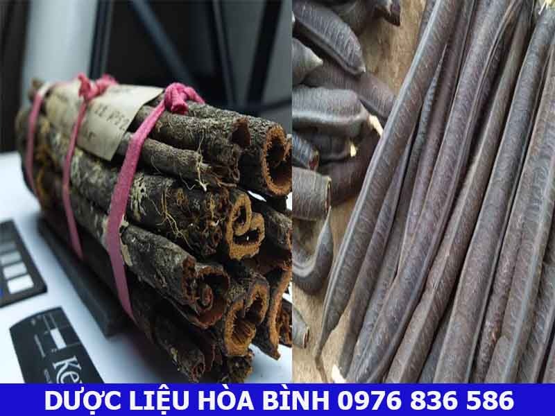 Đặc điểm thực vật cây canh ki na ( trái ô môi )