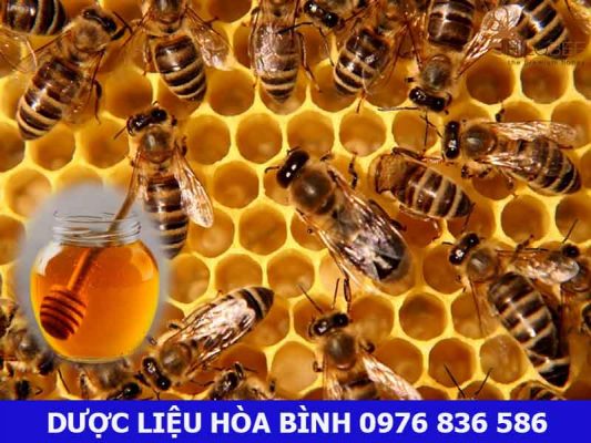 Mật ong là gì? Tác dụng của mật ong