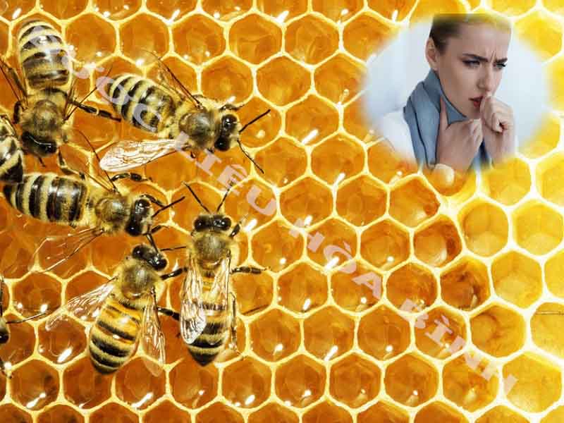 Mật ong hỗ trợ điều trị ho