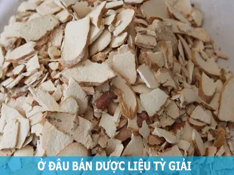 ở đâu bán dược liệu tỳ giải