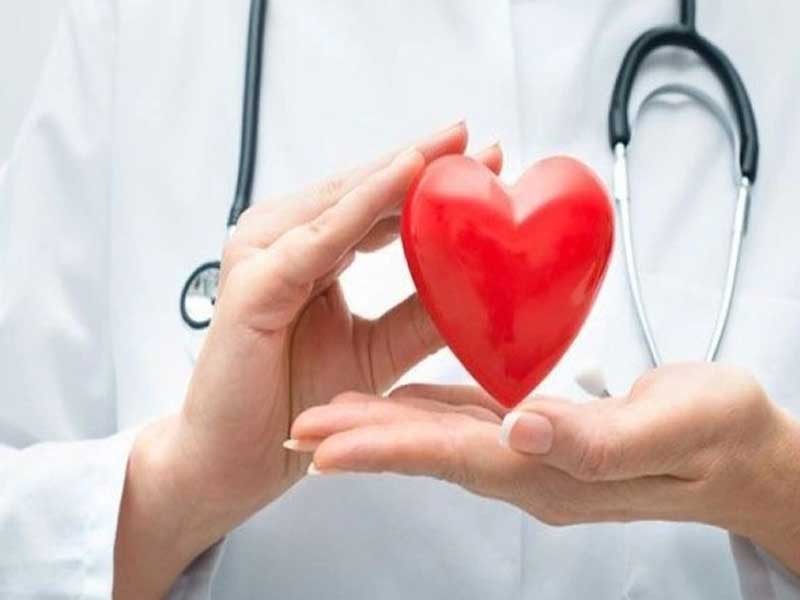 Mật og hỗ trợ cải thiện sức khỏe tim mạch