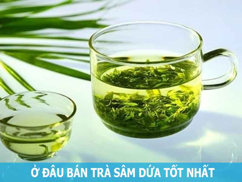 địa chỉ bán trà sâm dứa