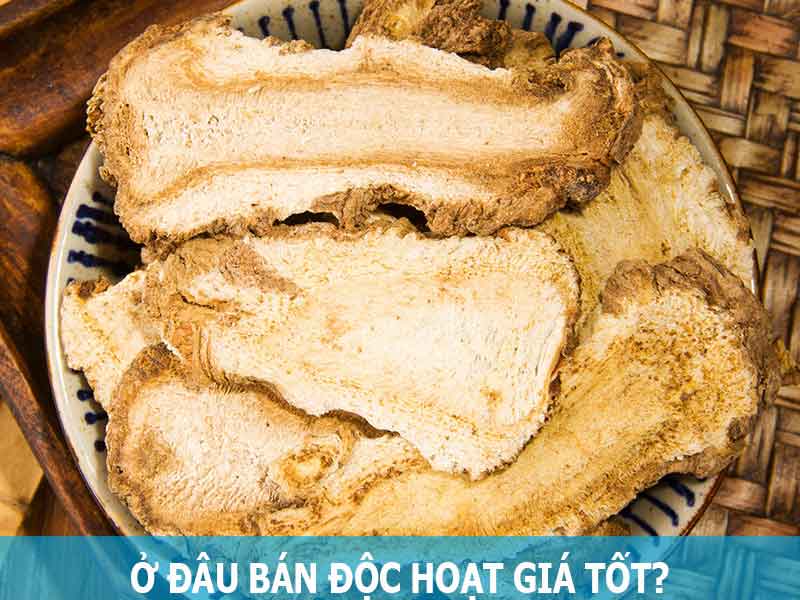 ở đâu bán dược liệu độc hoạt giá tốt