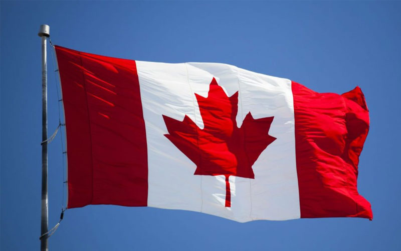 Cây phong lá đỏ biểu tượng của đất nước Canada