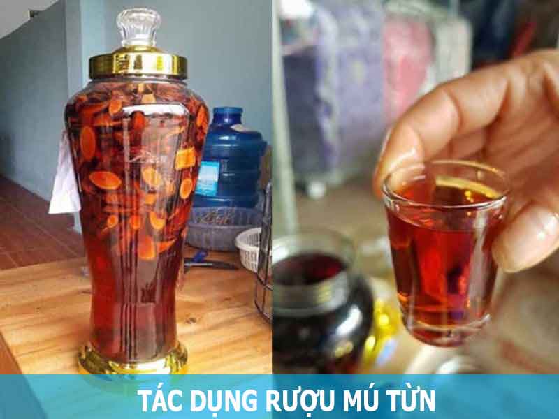 tác dụng của rượu mú từn