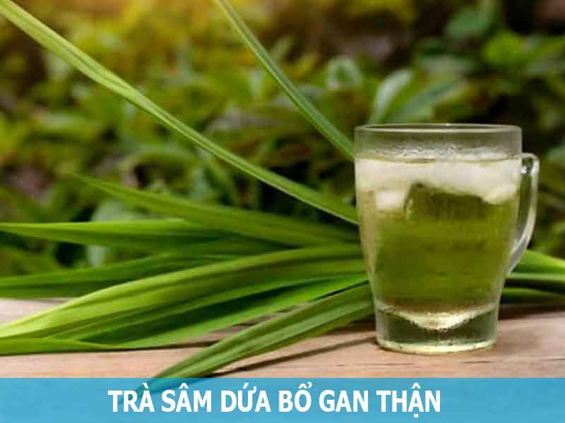 trà sâm dứa bổ gan thận