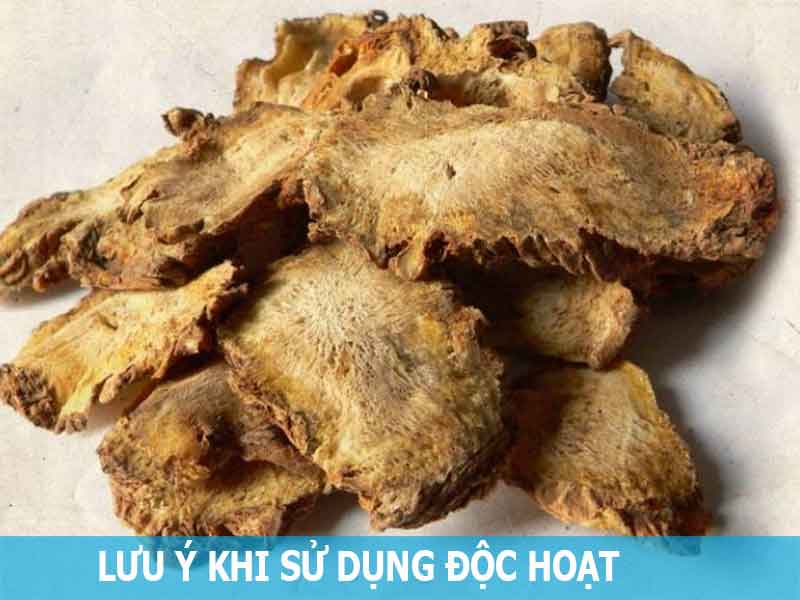 lưu ý khi sử dụng vị thuốc độc hoạt