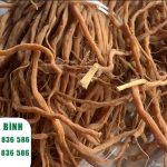 15 Tác Dụng Của Ngưu Tất Đối Với Sức Khỏe – Vị Thuốc Quý Trong Đông Y