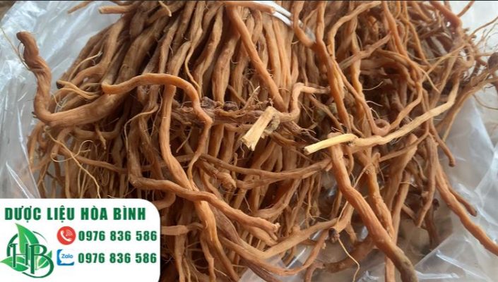15 Tác Dụng Của Ngưu Tất Đối Với Sức Khỏe