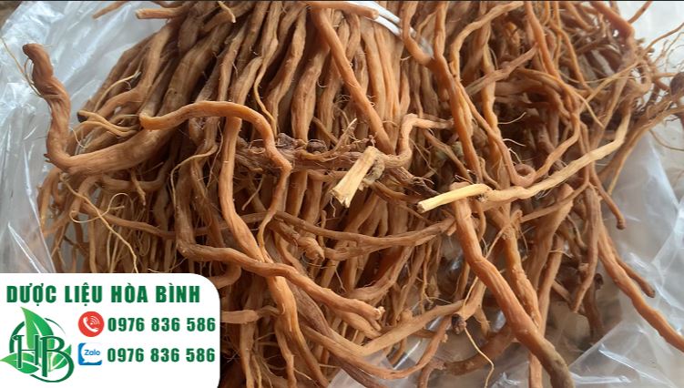 15 Tác Dụng Của Ngưu Tất Đối Với Sức Khỏe