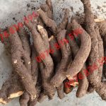 Cách uống nước củ gai cho bà bầu đúng cách và an toàn