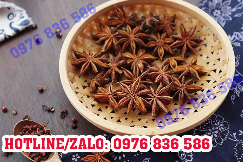 Tác dụng của Đại Hồi trong đời sống